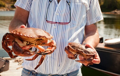 秋季吃螃蟹有三个禁忌