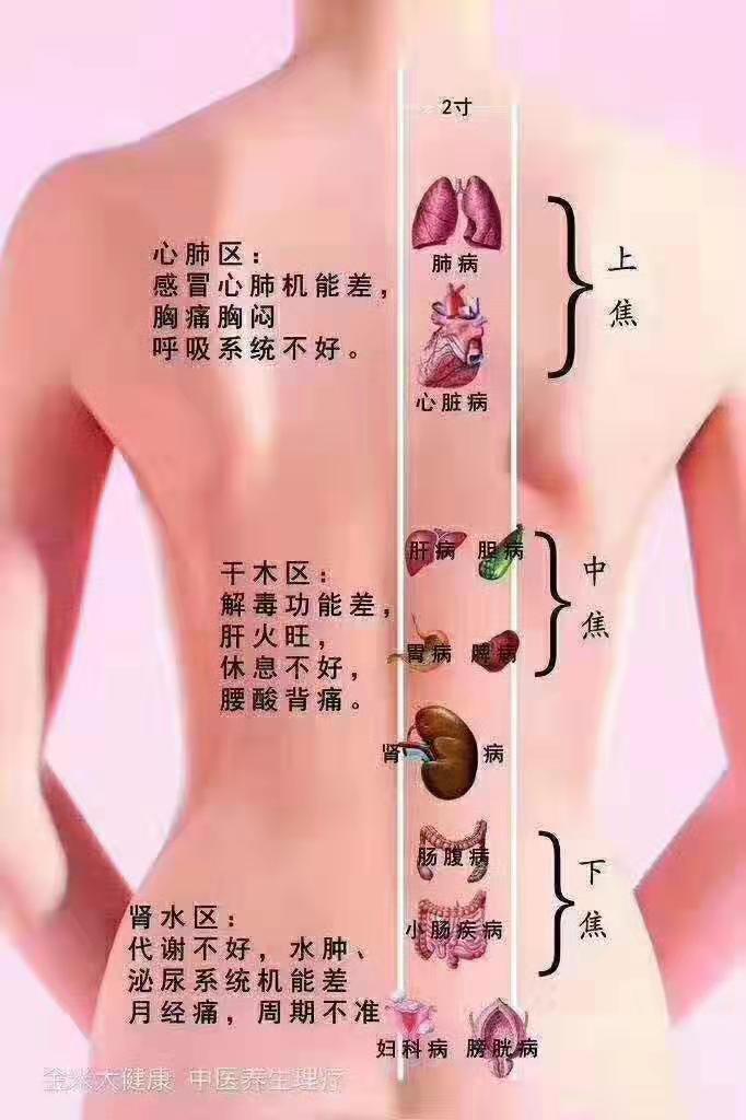 东莞中医理疗培训学校分享中医理疗膀胱经排毒资讯